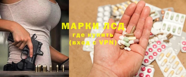 гашик Алексеевка
