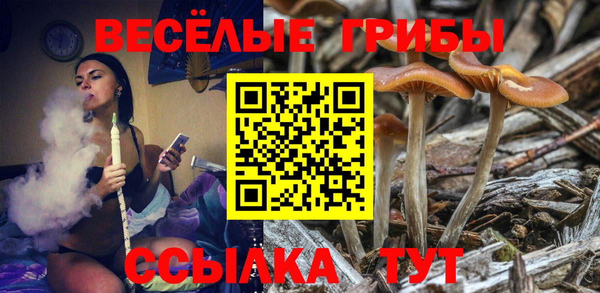 Нягань  Псилоцибиновые грибы MAGIC MUSHROOMS  Галлюциногенные грибы ЛСД  Вход с VPN 